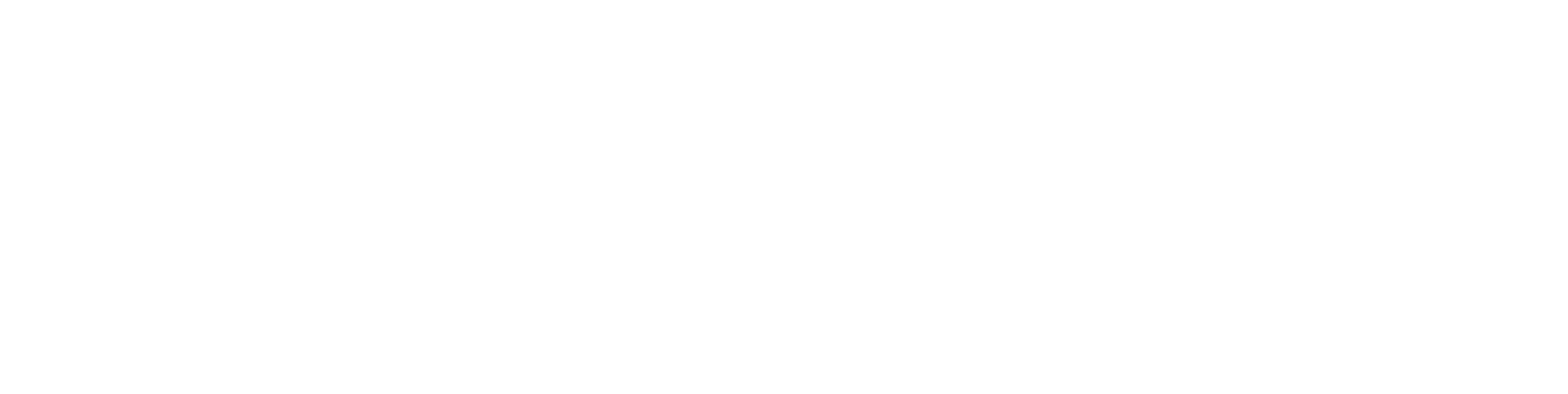 Futurewyse Logo